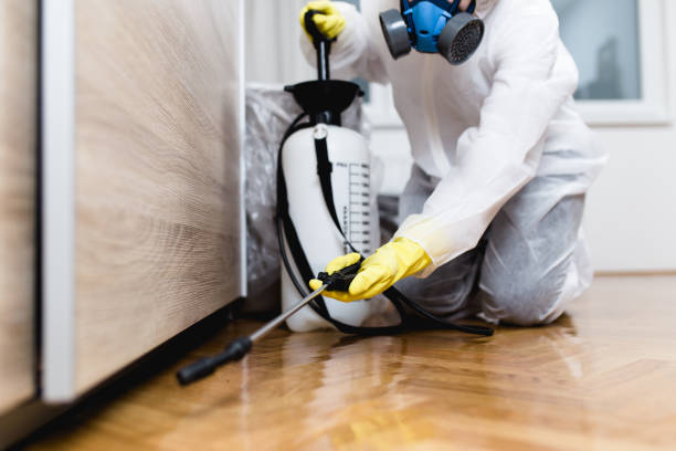 Best Pest Removal Services  in North Utica, IL