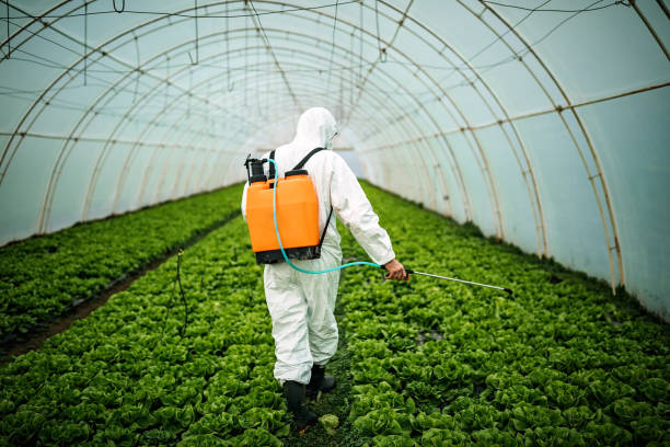 Best Local Pest Control Services  in North Utica, IL