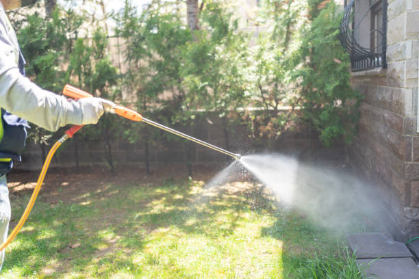 Best Termite Control Services  in North Utica, IL