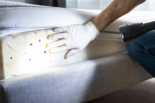 Best Exterminator Services  in North Utica, IL