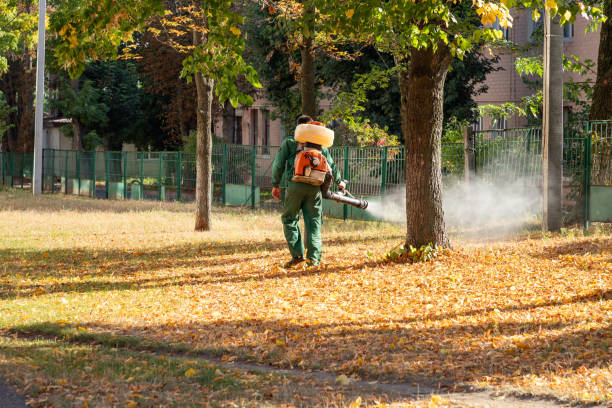 Best Local Pest Control Services  in North Utica, IL