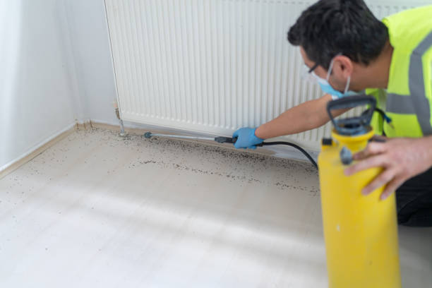Best Residential Pest Control  in North Utica, IL