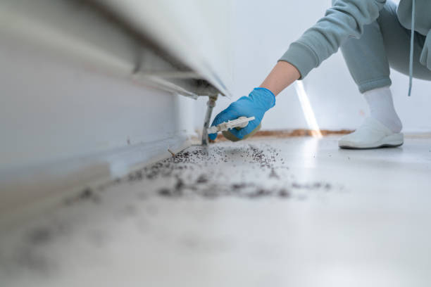 Best Pest Prevention Services  in North Utica, IL