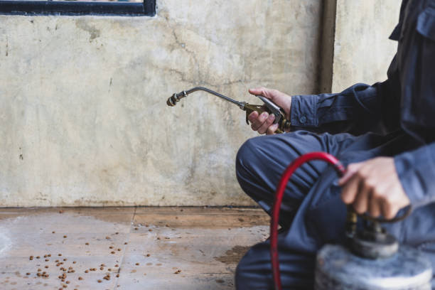 Flea Control Services in North Utica, IL